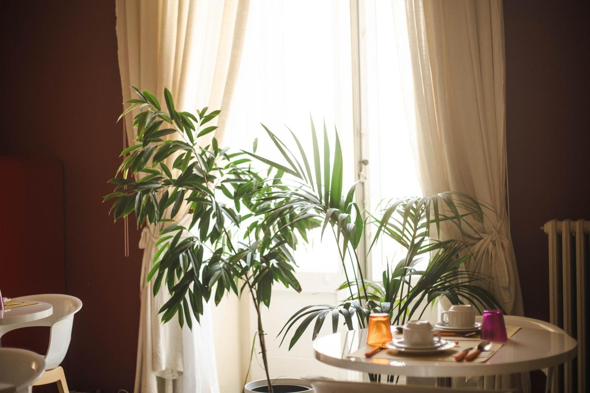 4 Balconi Rooms-boutique Bed and breakfast *